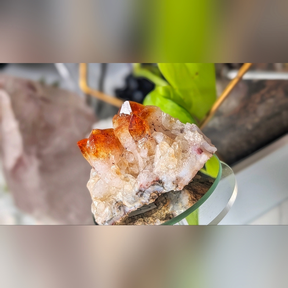 Citrine Quartz Crystal Cluster